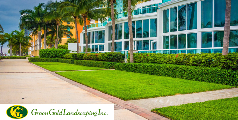 Commercial Landscape Maintenance Company, Landscape Maintenance Services Inc