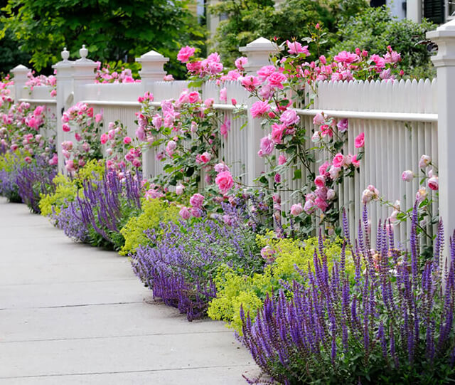 Design for the fencing borders - Curb Appeal Ideas