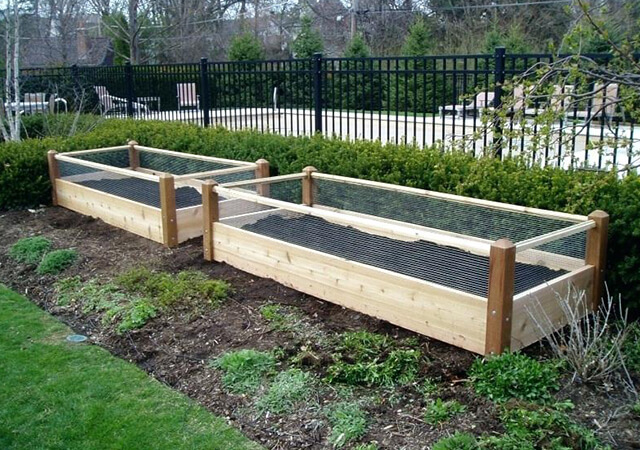 Garden Bed with fencing - Garden Design With Raised Beds
