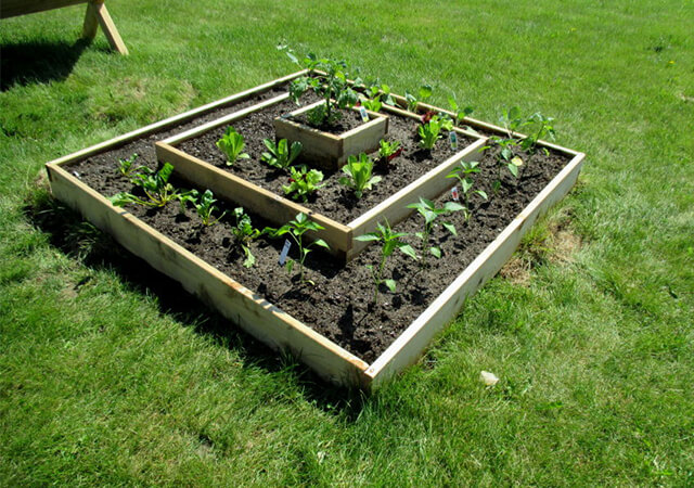Garden Bed with multi-levels - Garden Design With Raised Beds