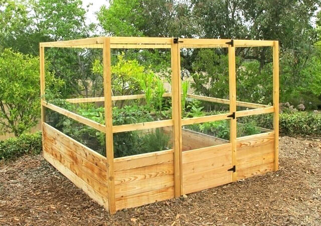 Garden Enclosure - Garden Design With Raised Beds
