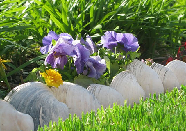 Sea Shell Edging Ideas - Landscaping Edging Ideas