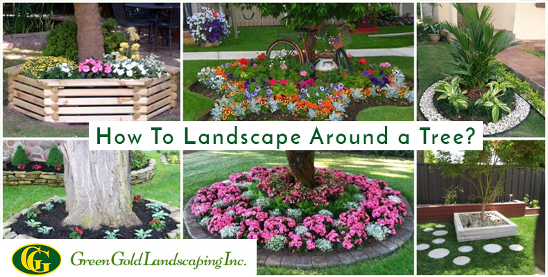 How To Landscape Around A Tree Green, Landscaping Ideas Around Trees Pictures