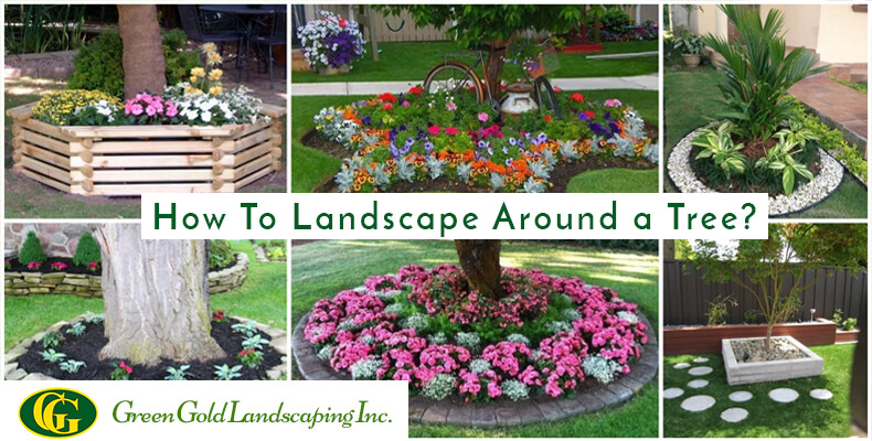 How to Landscape Around a Tree Green Gold Landscaping Inc