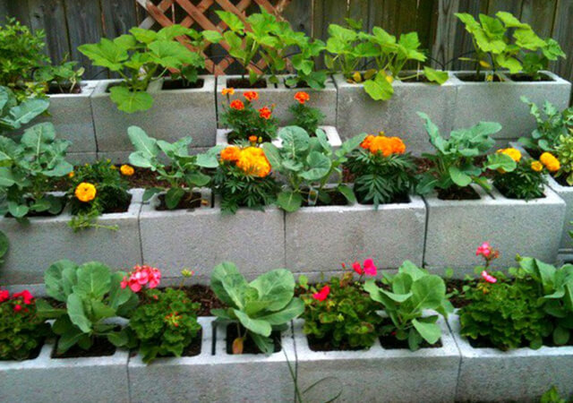 Cement Blocks Flower Bed Ideas - Flower Bed Ideas