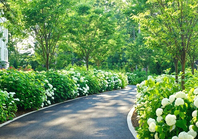 Driveway-flower-beds - Flower Bed Ideas