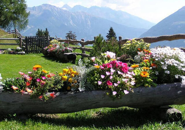 Hollow-Log-Flowering-Beds - Flower Bed Ideas