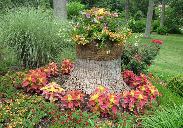 Tree-Stump-Flowering-bed - Flower Bed Ideas