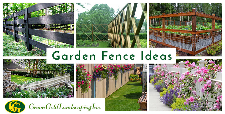 diy vegetable garden fence