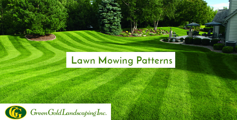 Rapid Lawn Care MN